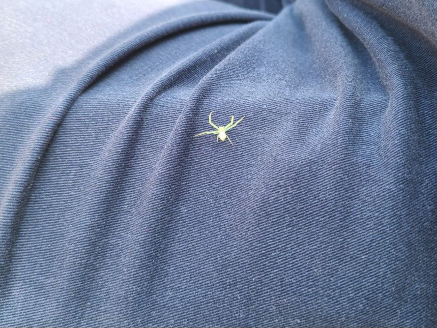 Read more about the article 5 May 2024