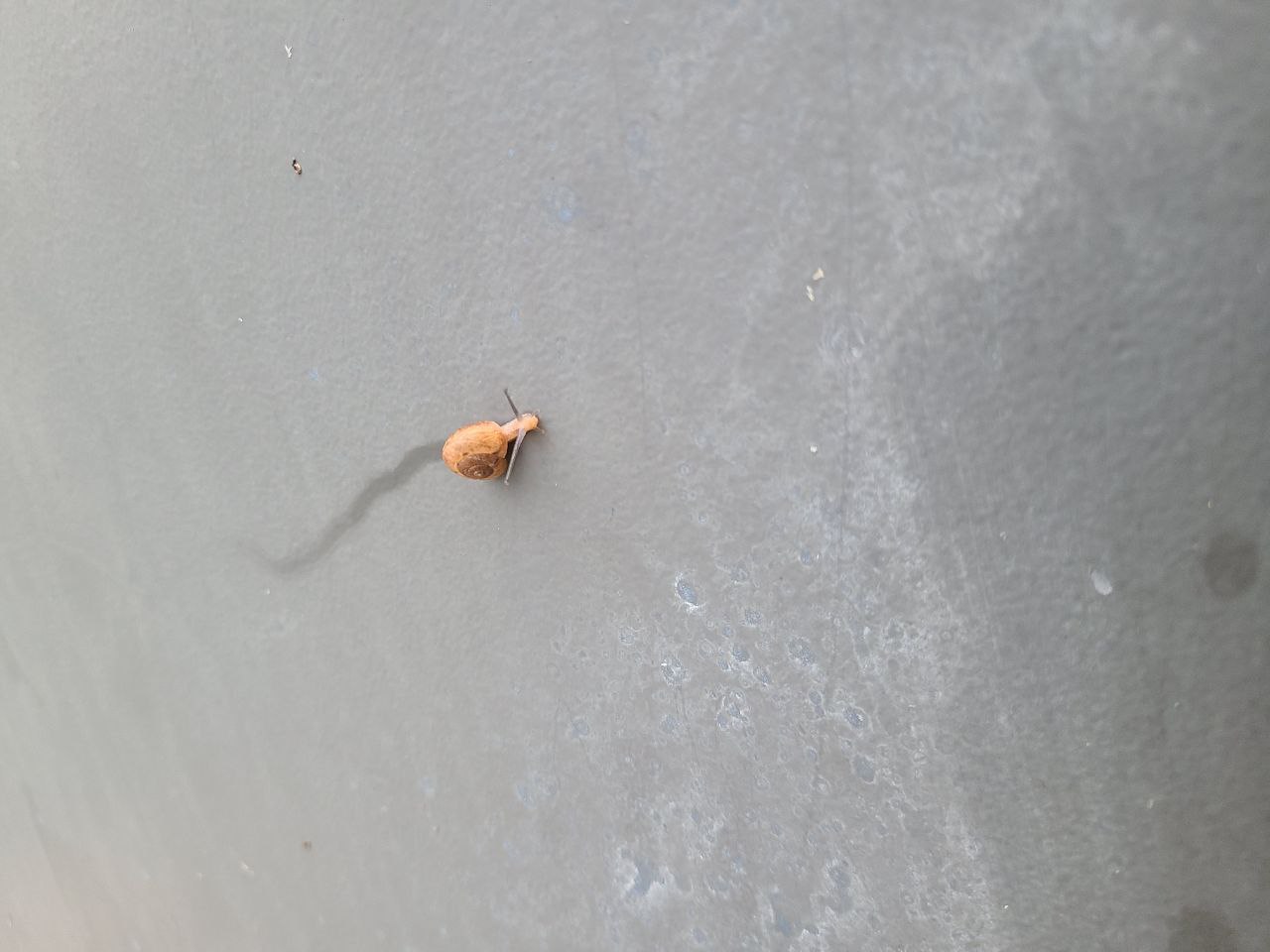 Read more about the article 2 May 2024