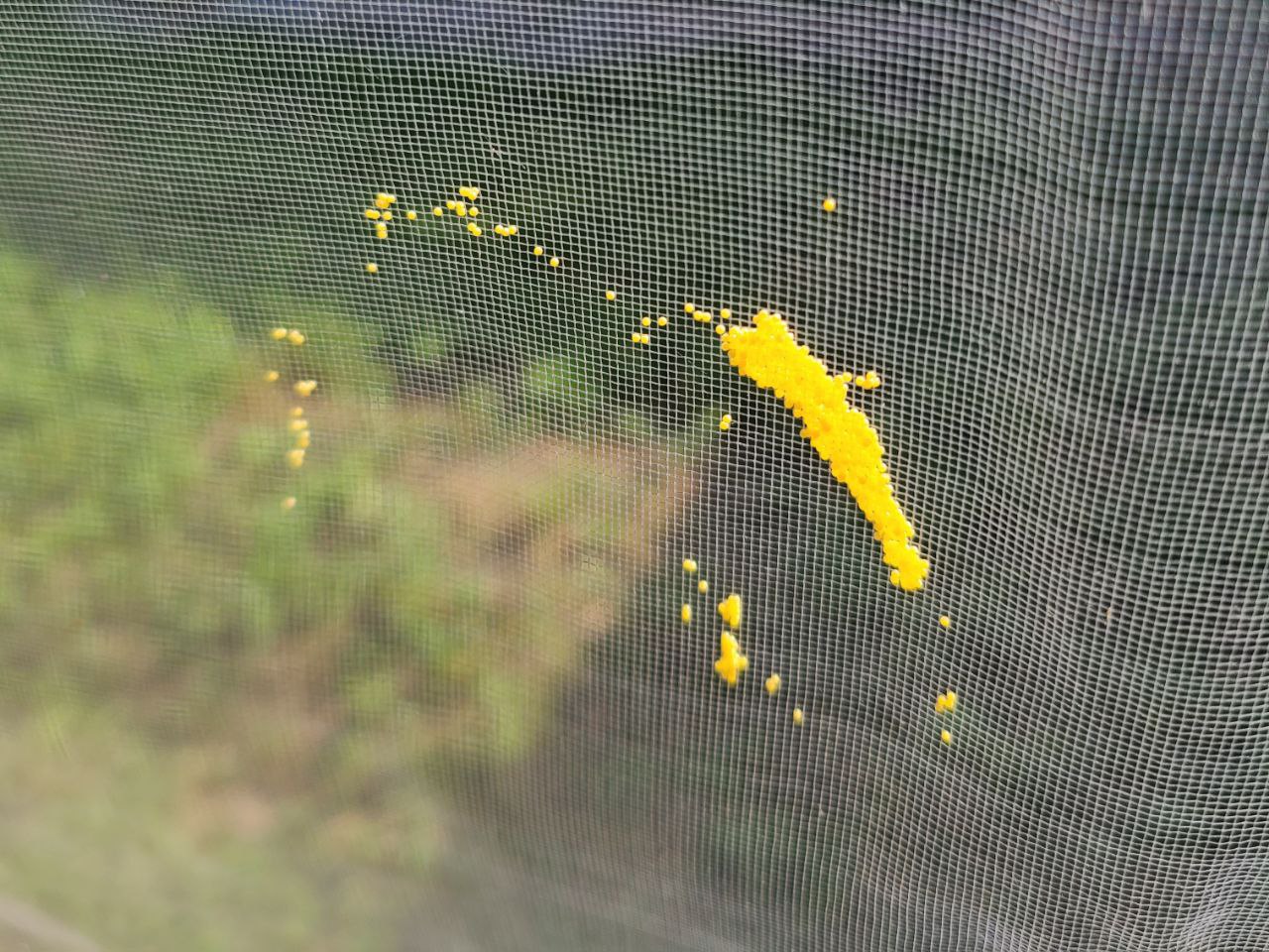 Read more about the article 23 May 2024