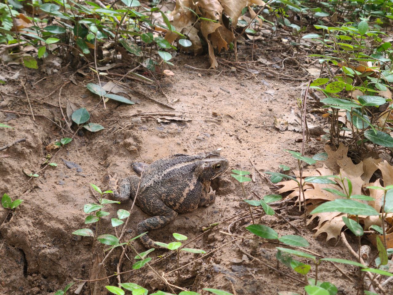 Read more about the article 30 May 2024