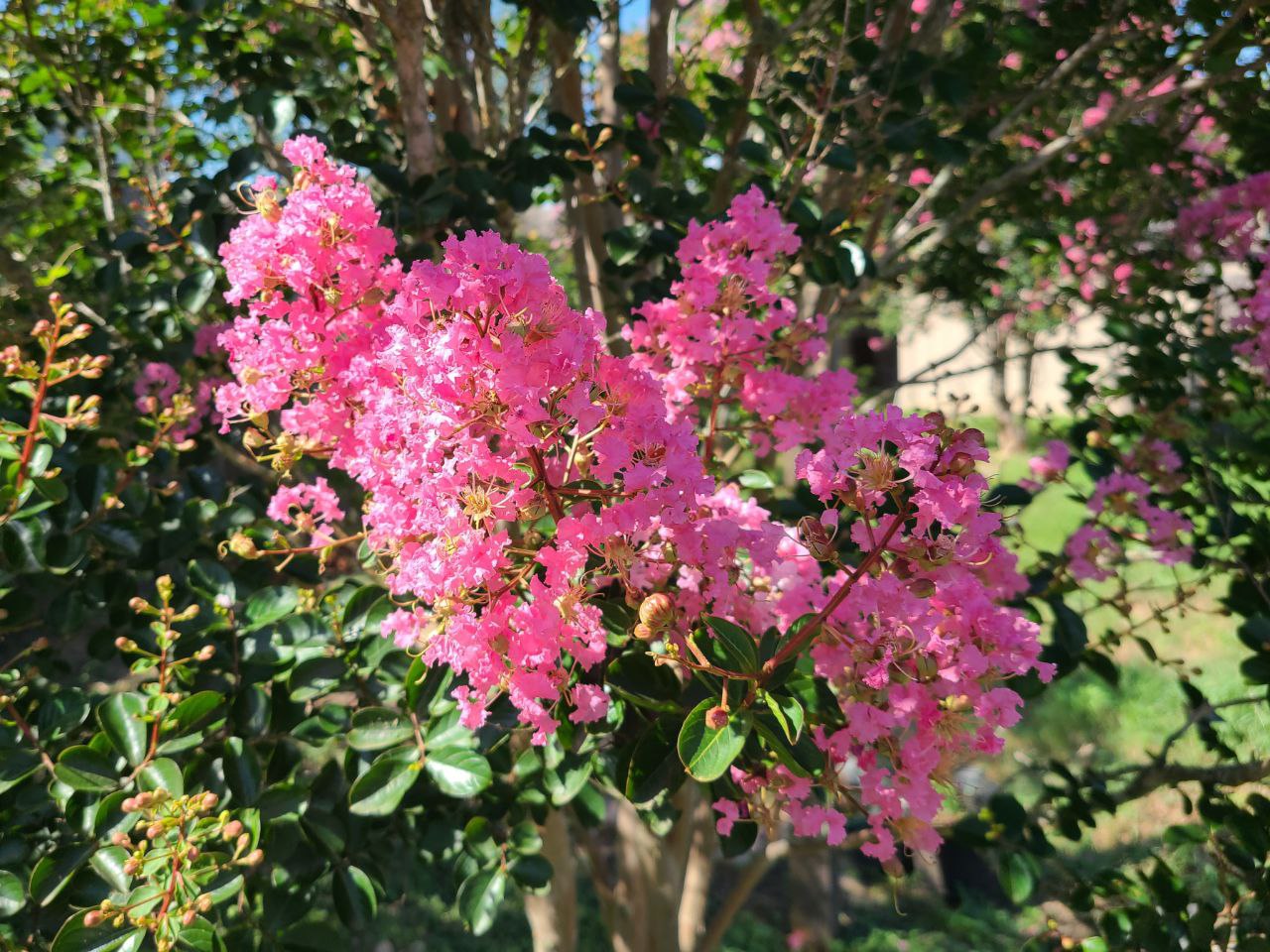 Read more about the article 4 July 2024