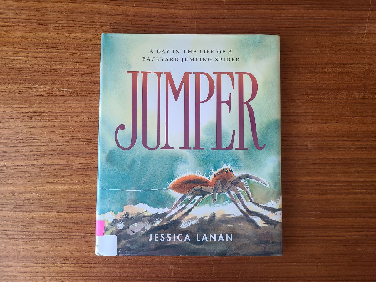 Read more about the article 15 June 2024