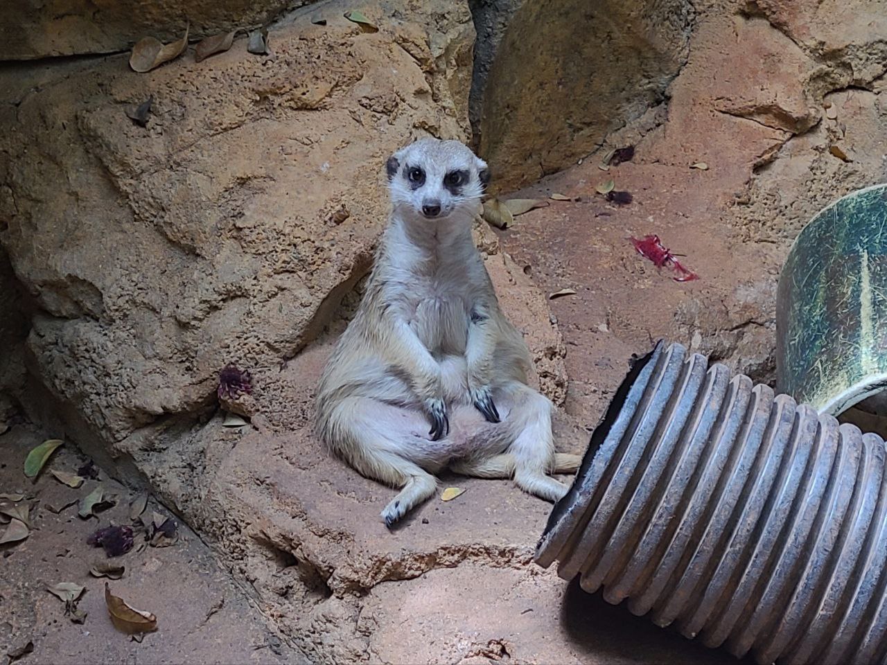 Read more about the article 17 June 2024