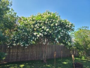 Read more about the article 28 June 2024