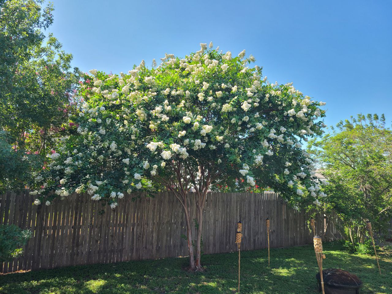 Read more about the article 28 June 2024