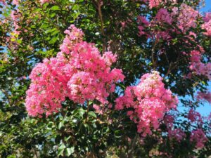 Read more about the article 23 June 2024