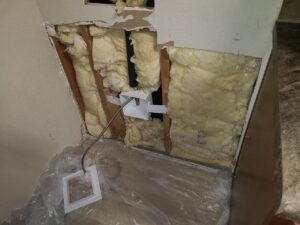 Read more about the article 23 July 2024