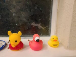 Read more about the article 26 July 2024