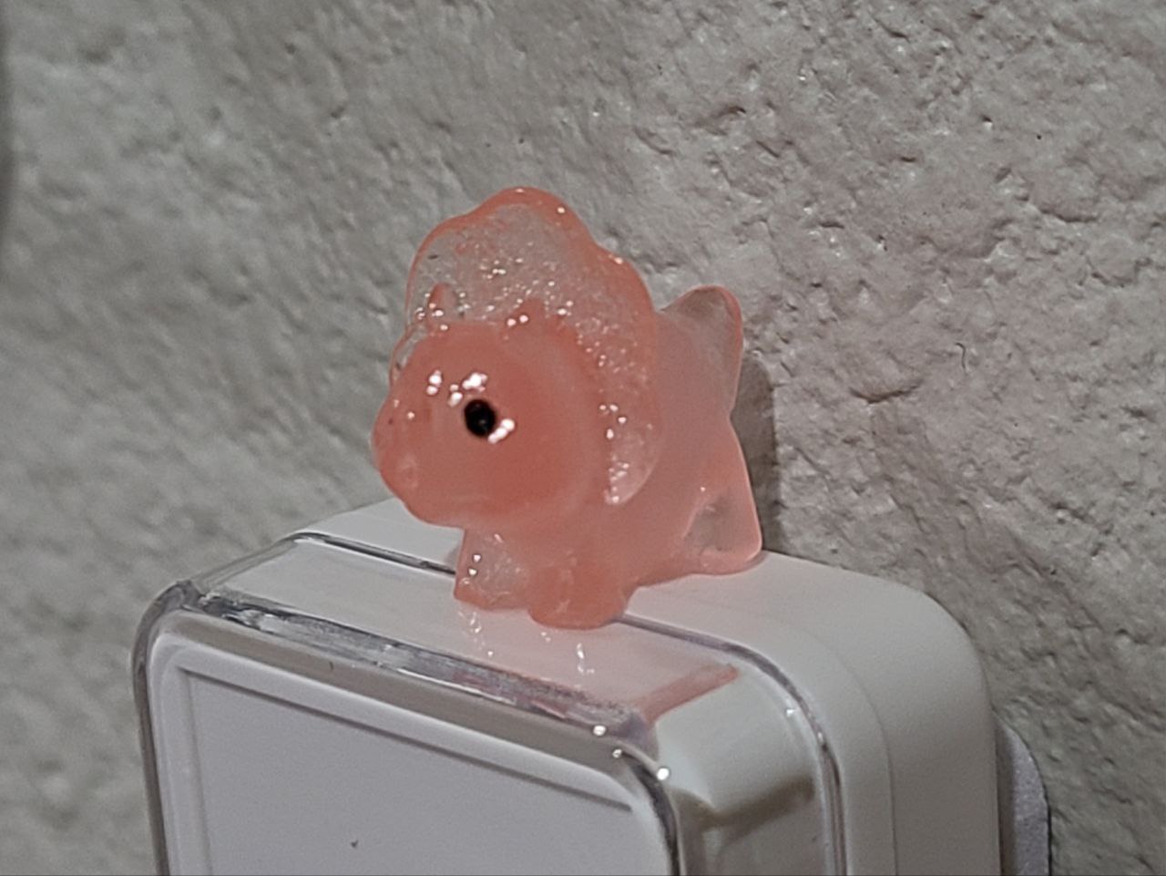 Read more about the article 8 August 2024