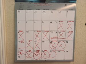 Read more about the article 1 July 2024