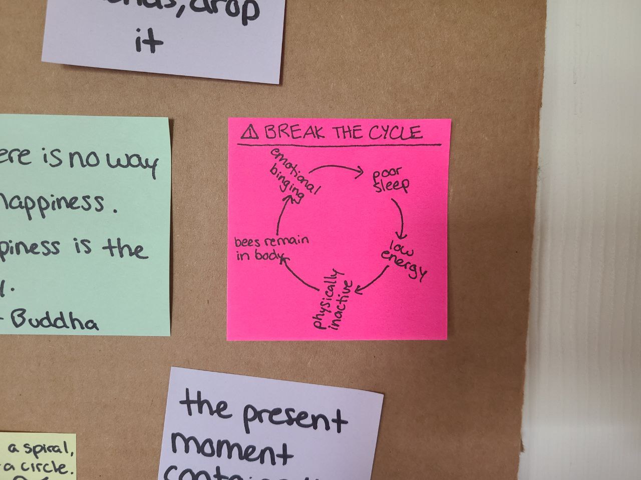 Read more about the article 20 June 2024