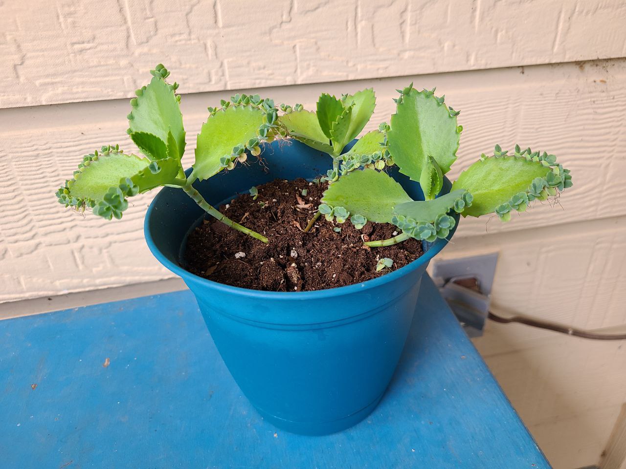 Read more about the article 21 July 2024