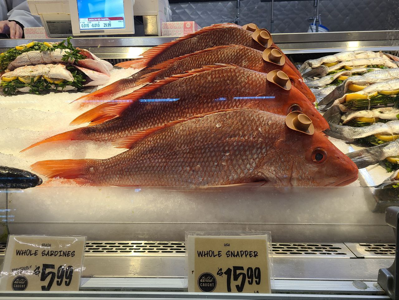 Read more about the article 13 July 2024