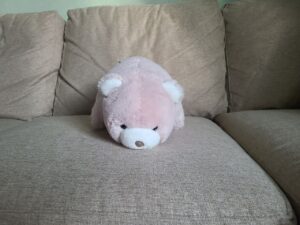 Read more about the article 17 July 2024