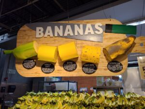 Read more about the article 14 August 2024