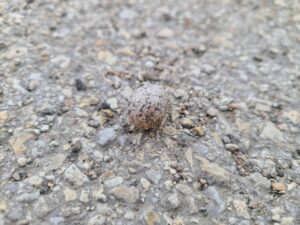 Read more about the article 15 July 2024