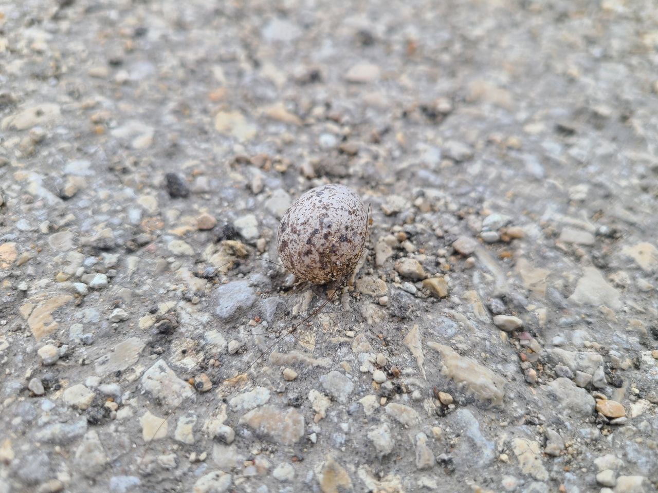 Read more about the article 15 July 2024