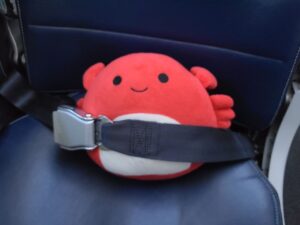 Read more about the article 28 July 2024