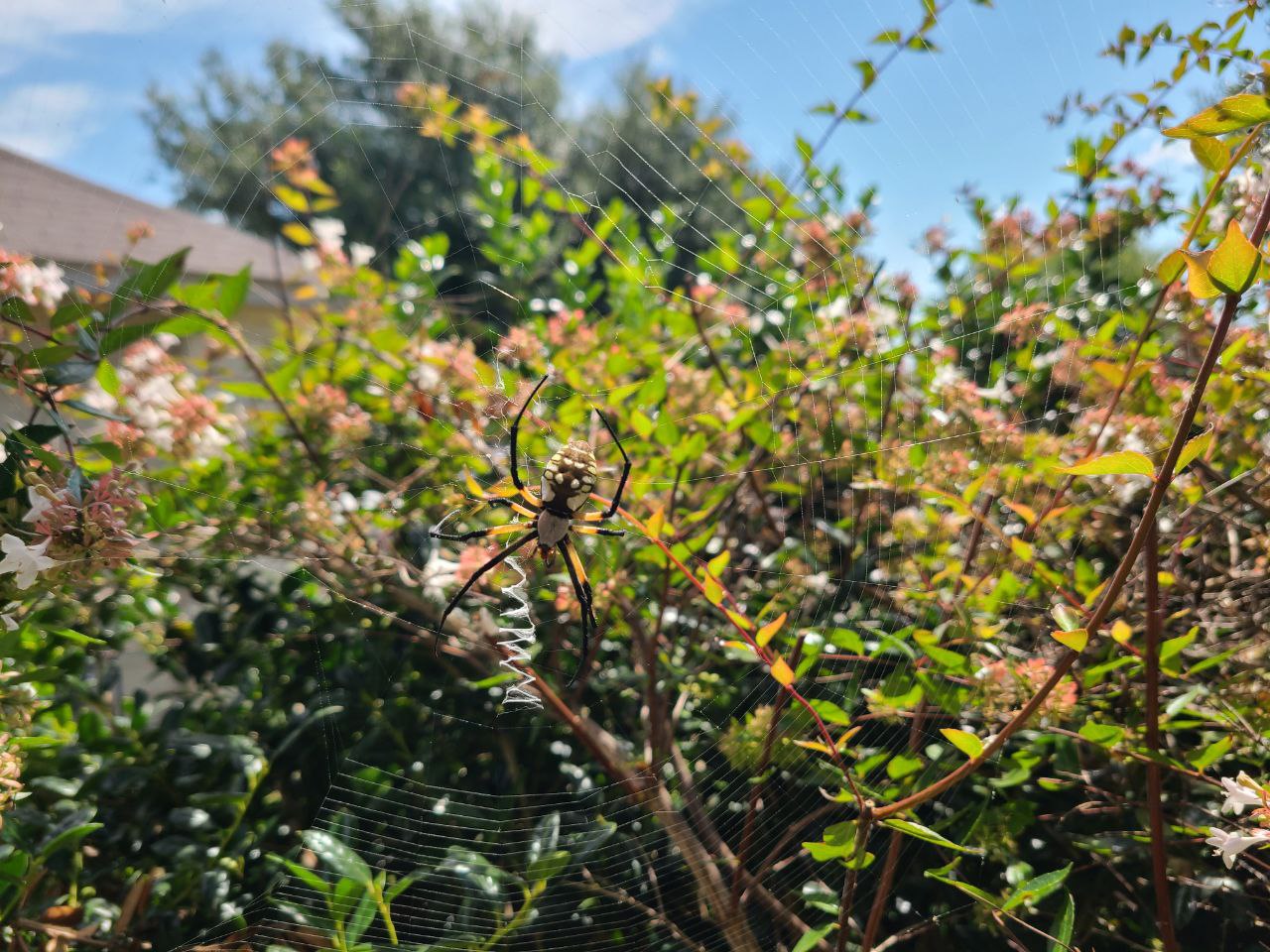 Read more about the article 4 August 2024