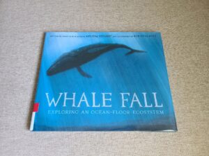 Read more about the article 20 August 2024