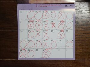 Read more about the article 1 August 2024