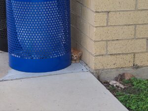 Read more about the article 12 August 2024