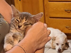 Read more about the article 9 August 2024