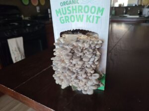 Read more about the article 7 August 2024