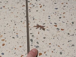 Read more about the article 19 August 2024