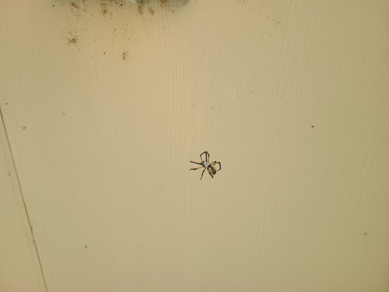 Read more about the article 15 August 2024