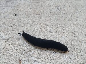 Read more about the article 30 July 2024