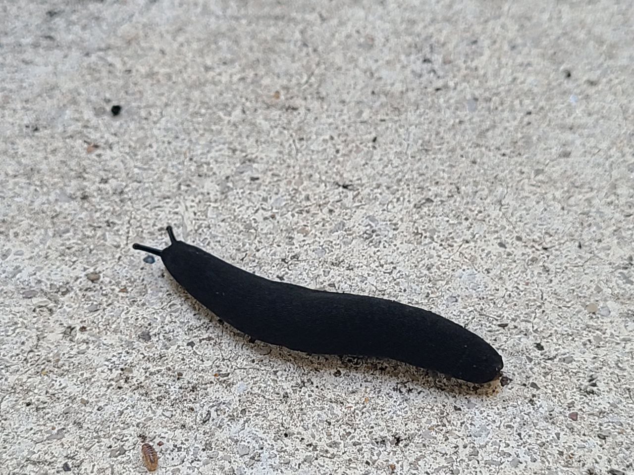 Read more about the article 30 July 2024