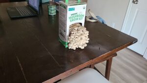 Read more about the article 11 August 2024