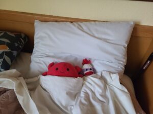 Read more about the article 31 July 2024