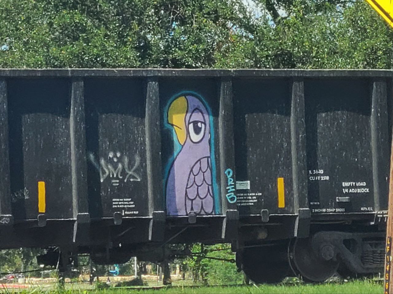 Read more about the article 9 September 2024