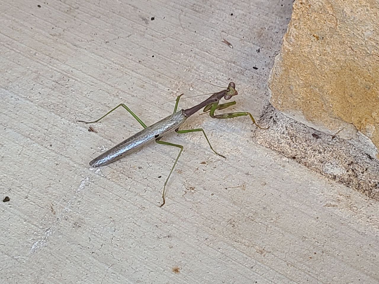 Read more about the article 10 August 2024