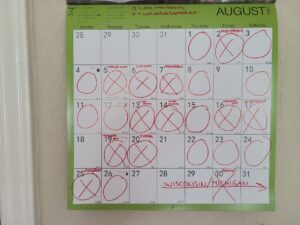 Read more about the article 2-3 September 2024